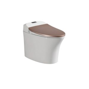 Bồn cầu cao cấp Viglacera V-Smart V93GW